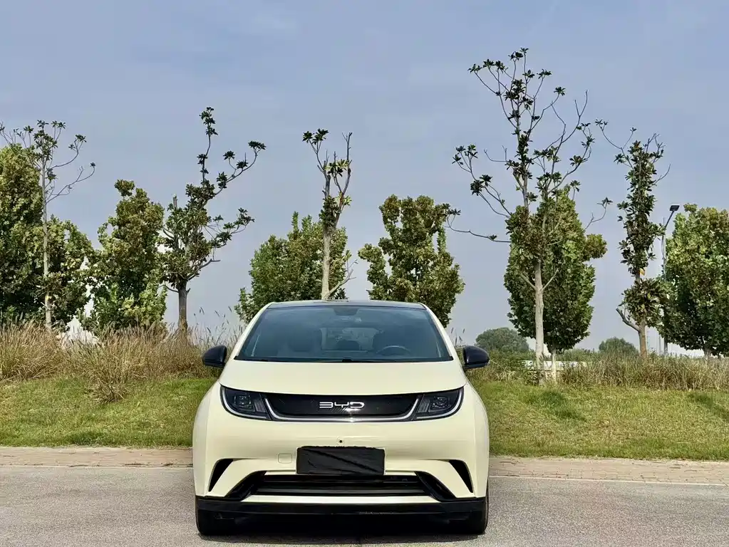 BYD Dolphin — миниатюра 2