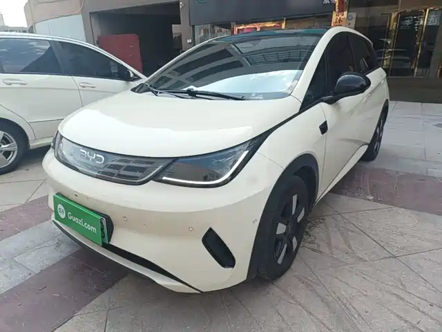 2025 BYD Dolphin