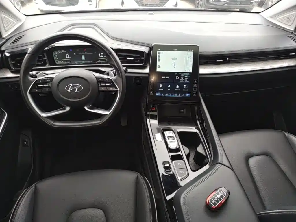 Hyundai Custo — миниатюра 10