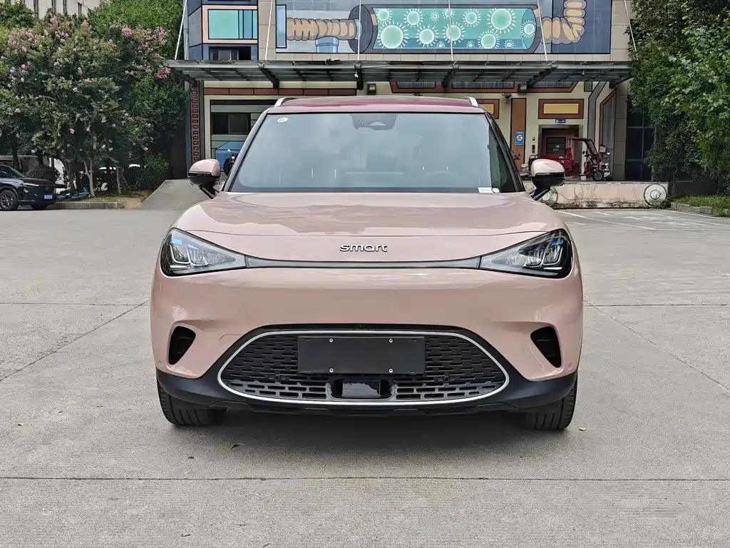 smart Smart #1 — миниатюра 4