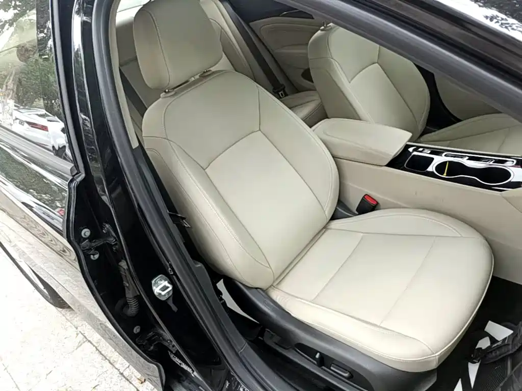 Buick Regal — миниатюра 25