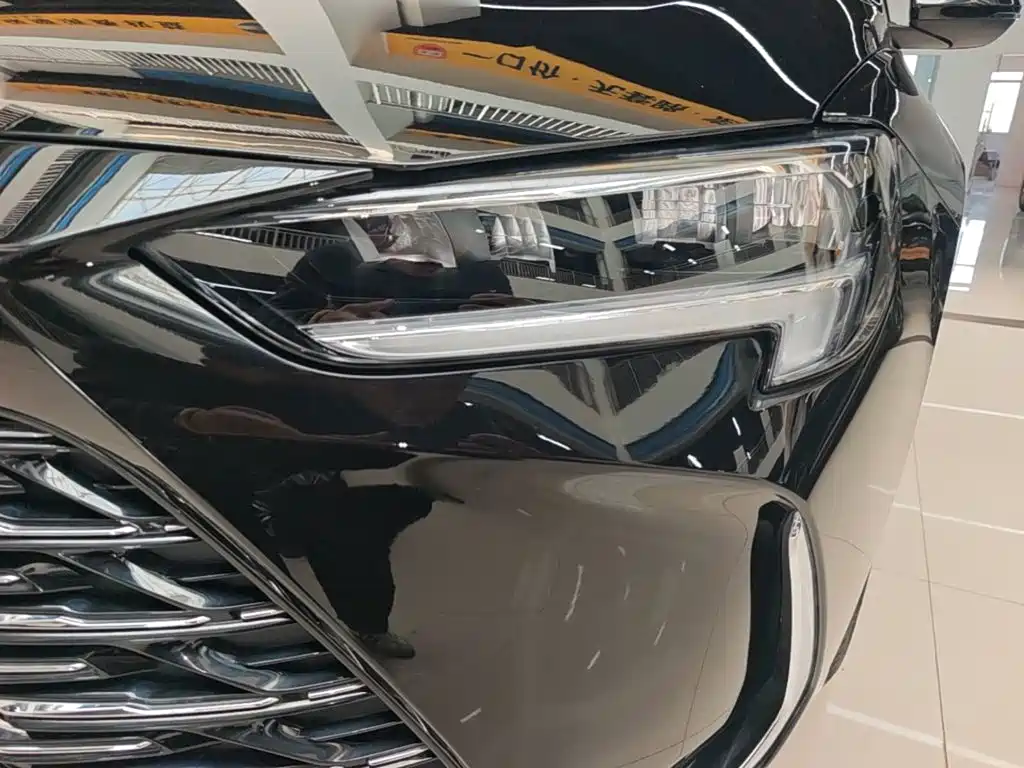 Buick Regal — миниатюра 24