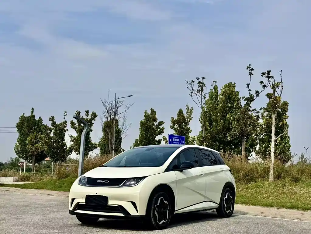 BYD Dolphin