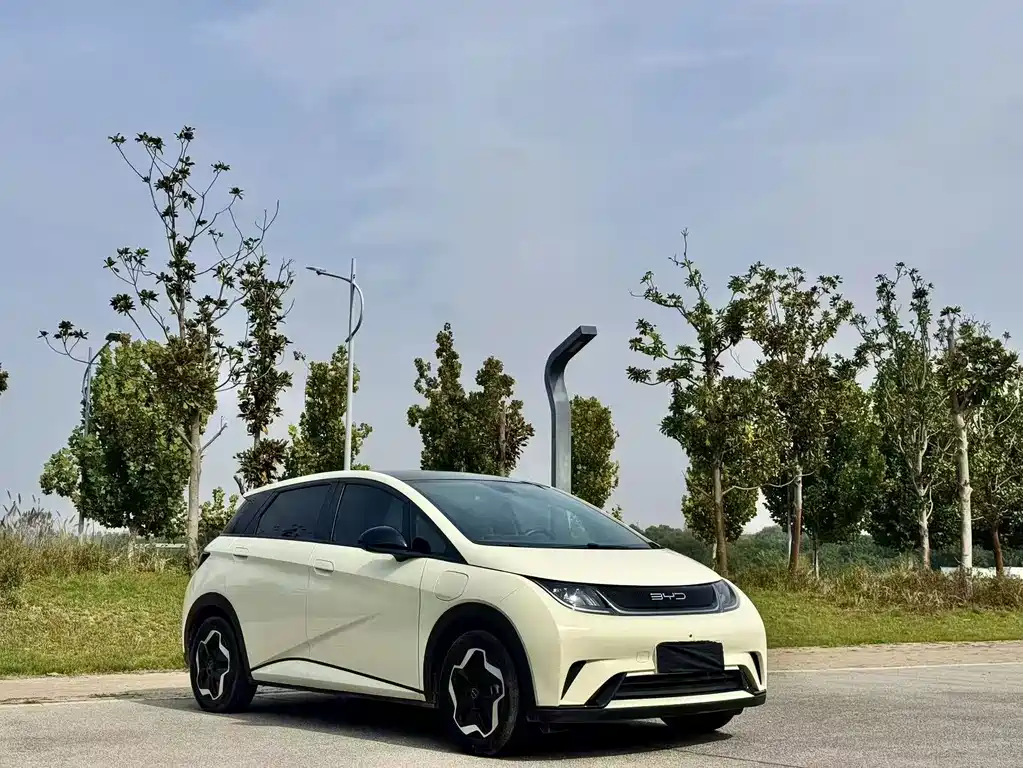 BYD Dolphin — миниатюра 3