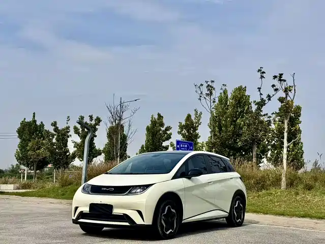 BYD Dolphin