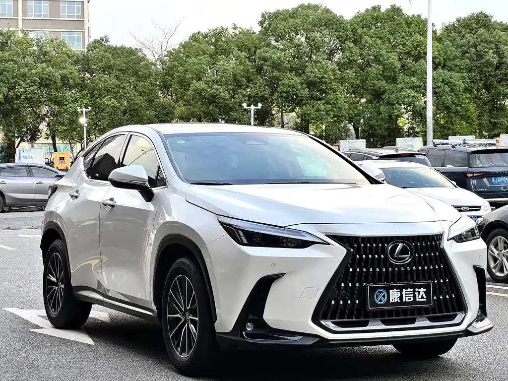 Lexus NX — миниатюра 3