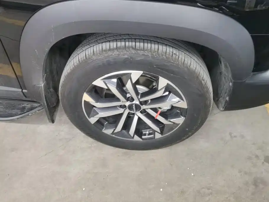 Haval Big Dog — миниатюра 6