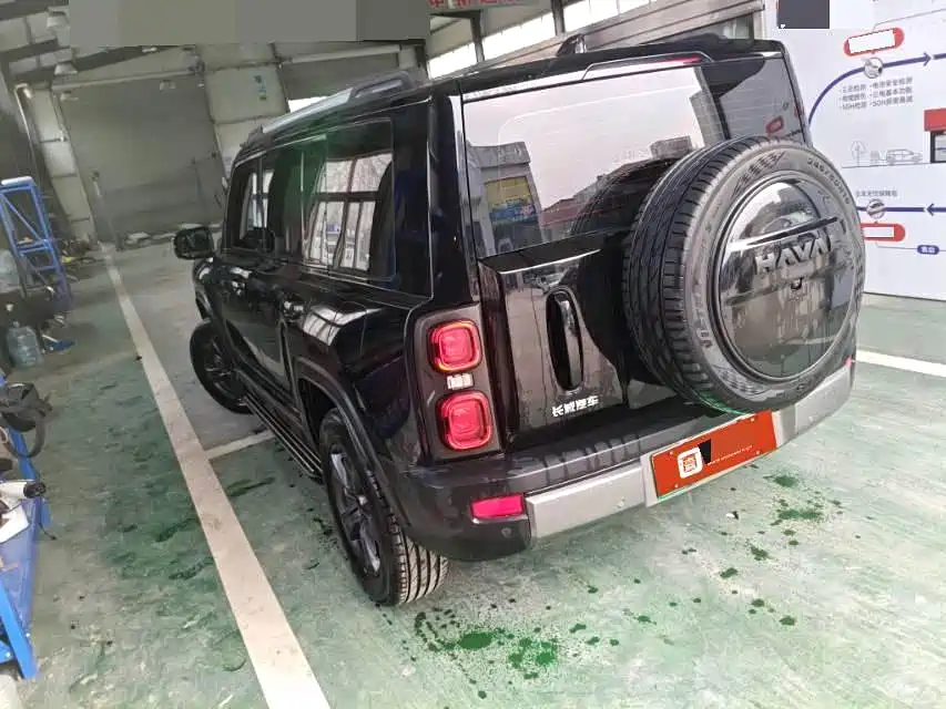 HAVAL RAPTORS NEW ENERGY