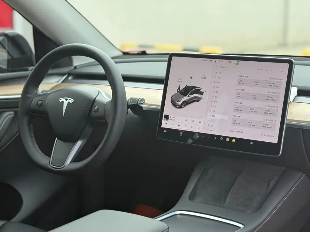 Tesla Model Y — миниатюра 11