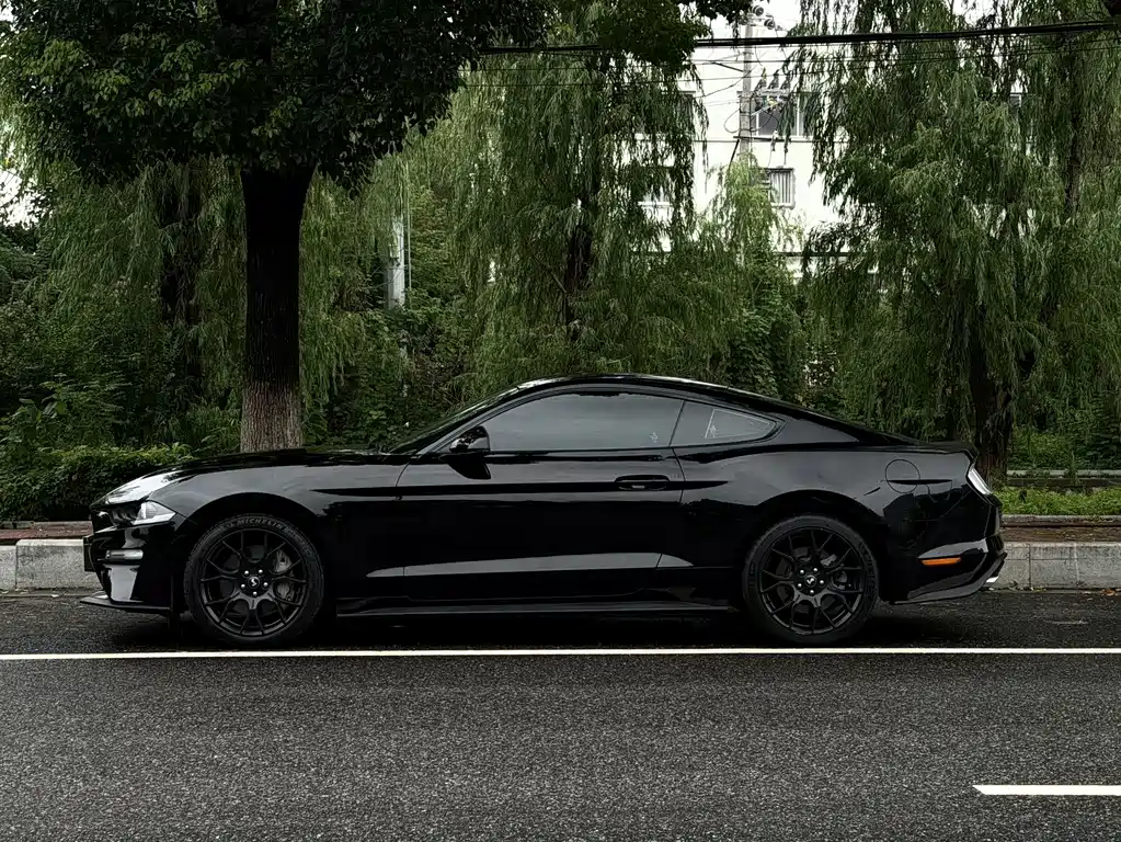 Ford Mustang — миниатюра 4