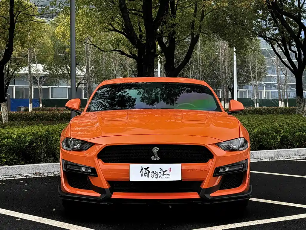 Ford Mustang — миниатюра 2