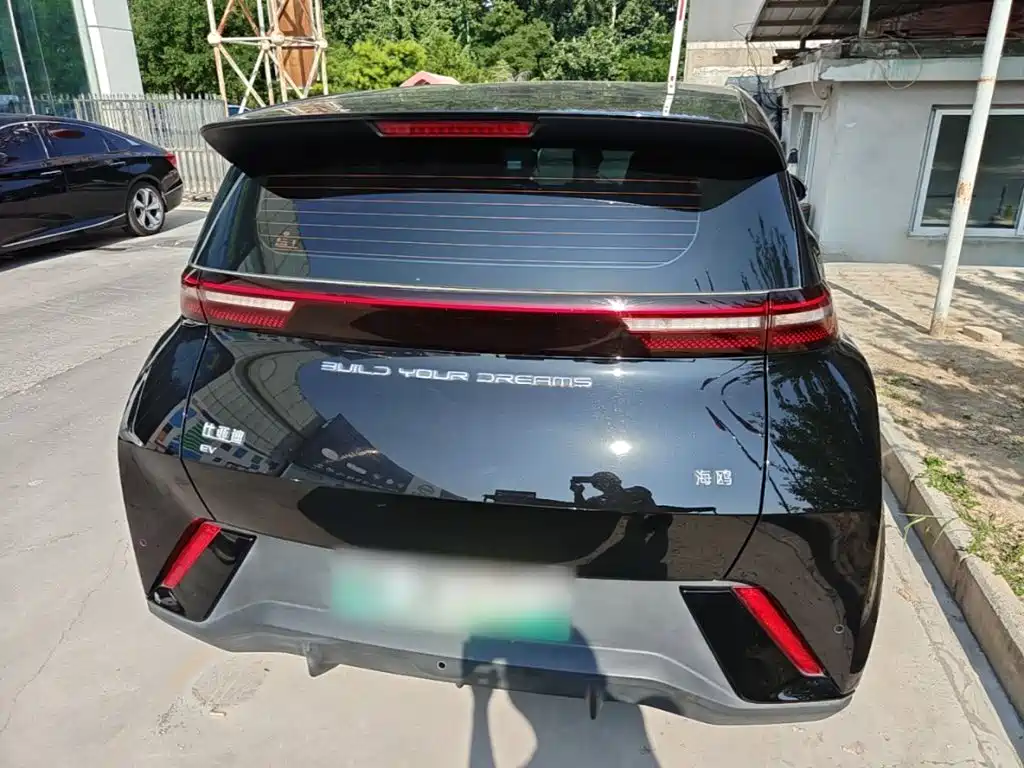 BYD Seagull 2024 305km