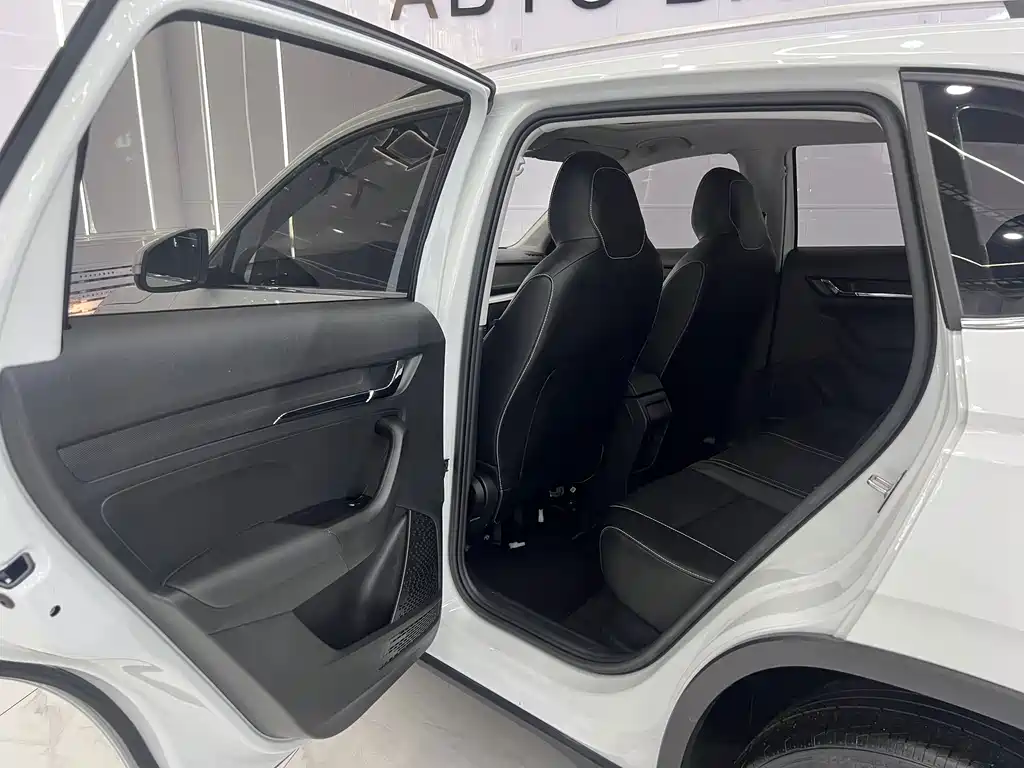 Skoda Kamiq — миниатюра 11