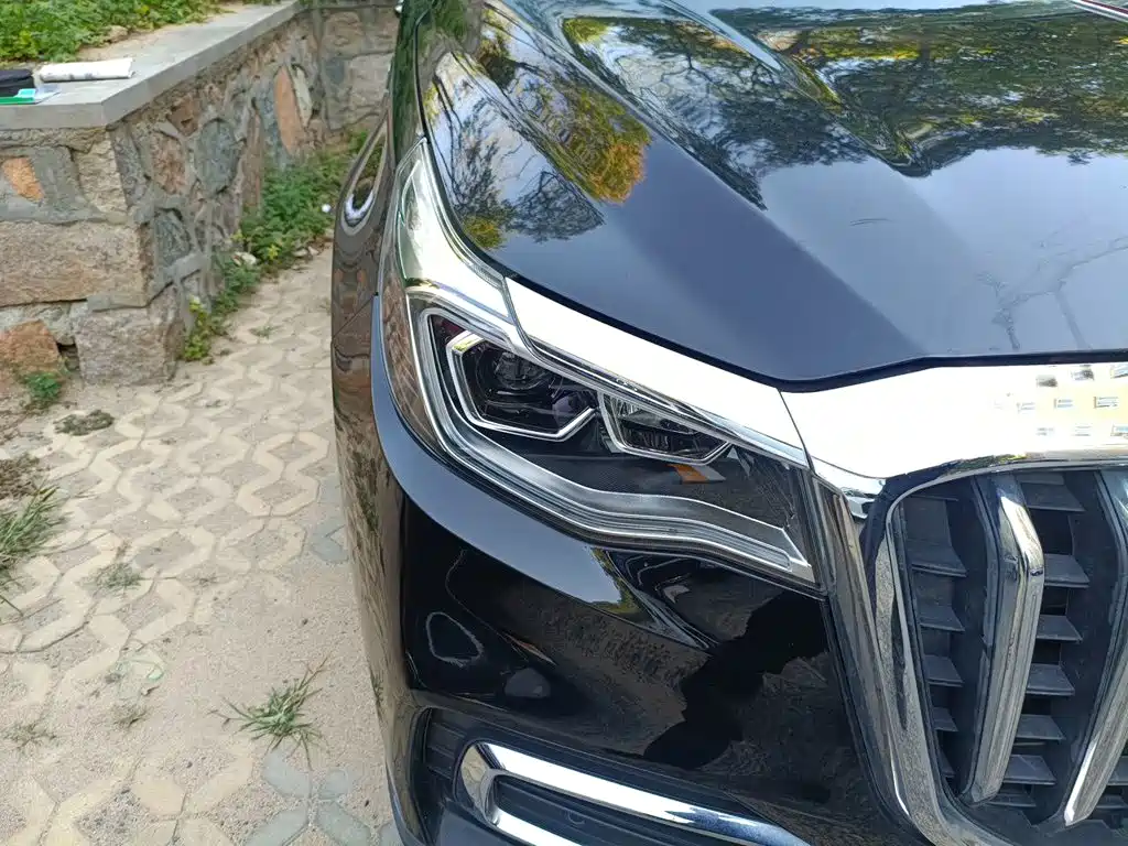 Hongqi Hongqi HS7 — миниатюра 7