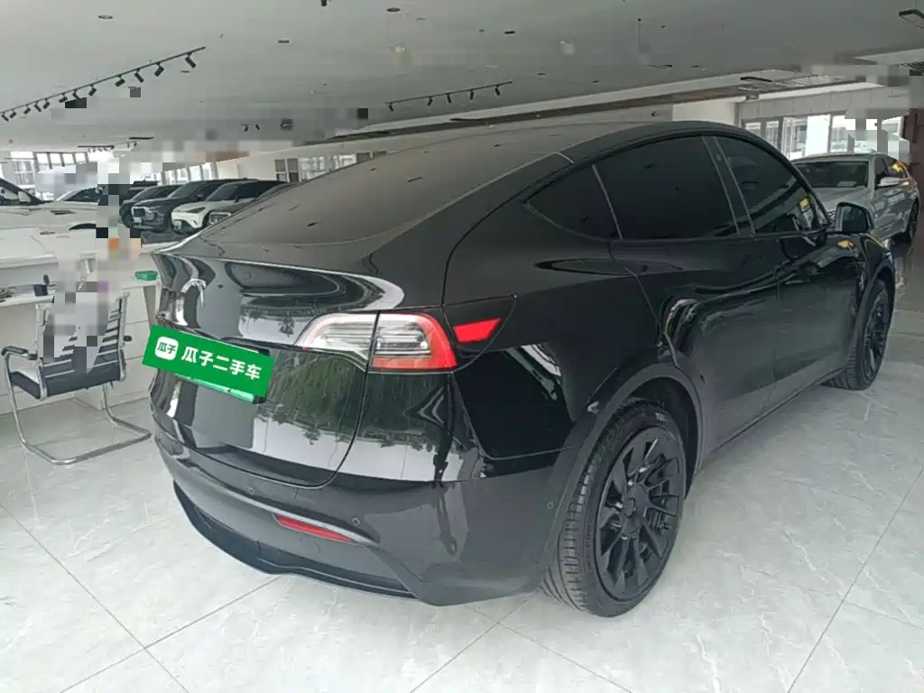 Tesla Model Y — миниатюра 7