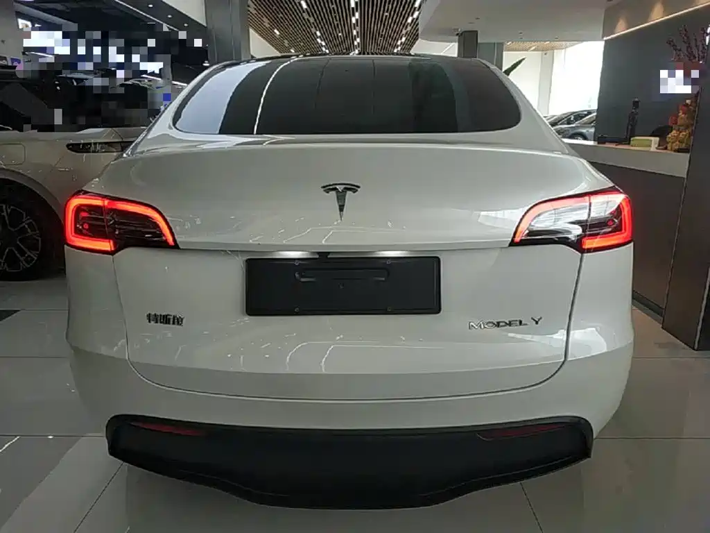 Tesla Model Y — миниатюра 6