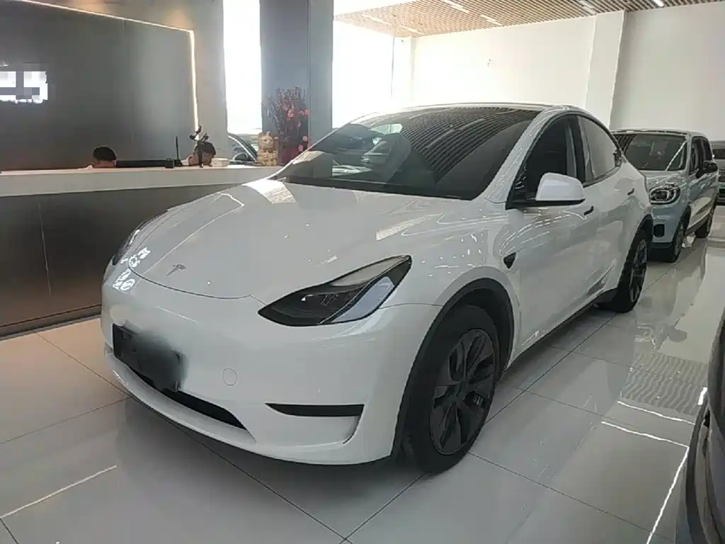 Tesla Model Y — миниатюра 2