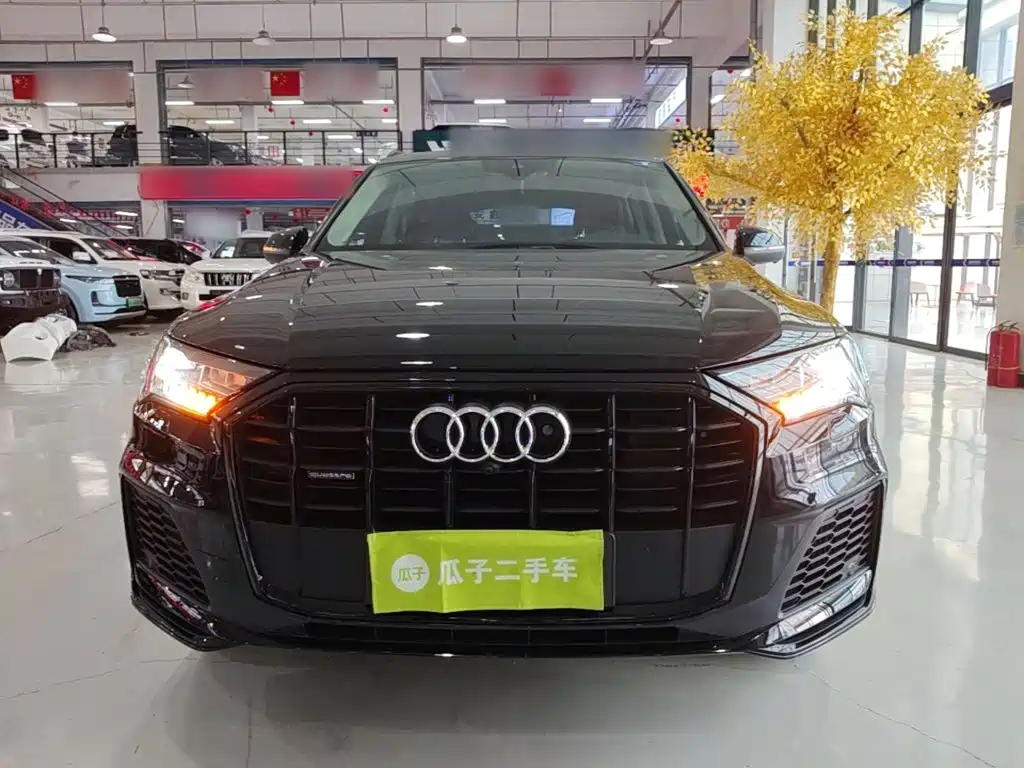 Audi Q7 — миниатюра 3