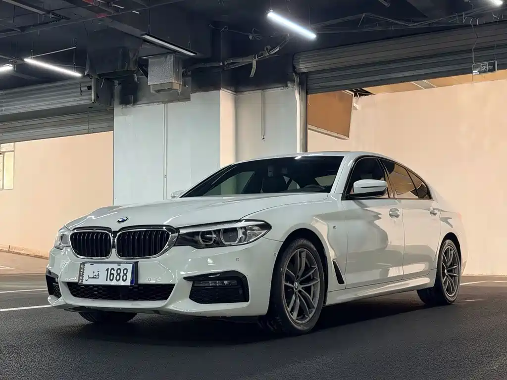 BMW 5 Series (Import) 2019
