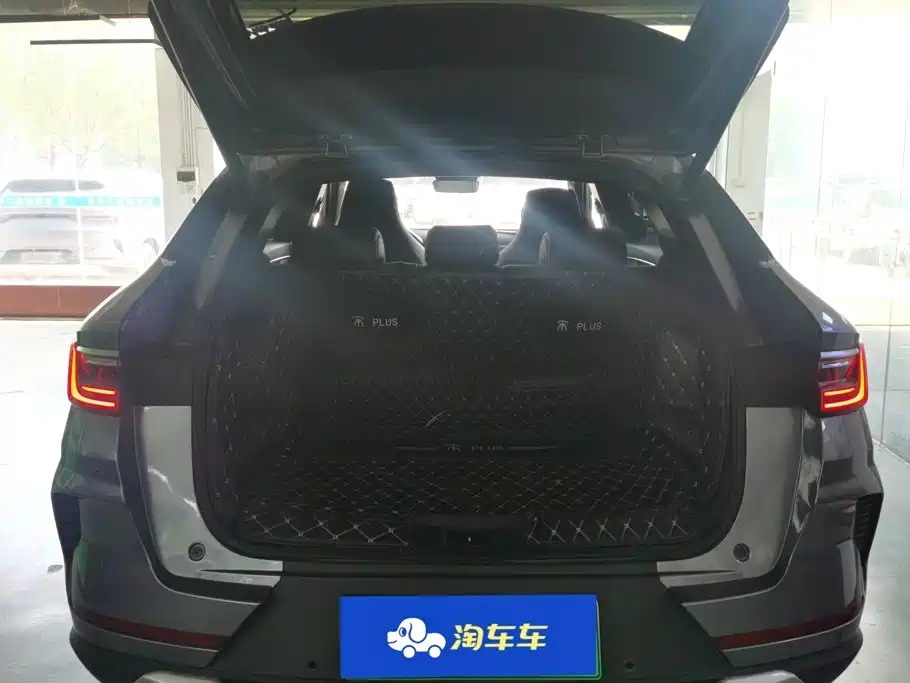 BYD PLUS New Energy — миниатюра 4