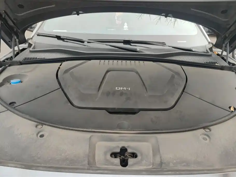 BYD SONGJIANG NEW ENERGY