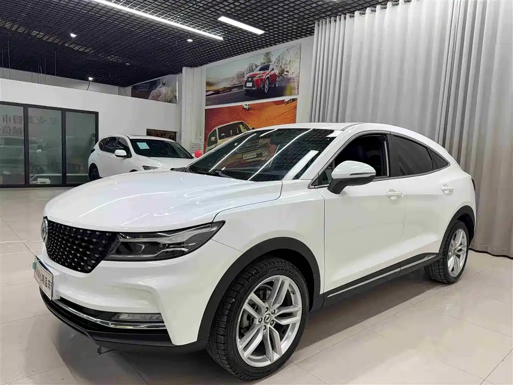 Fengguang Fengguang ix5 2019