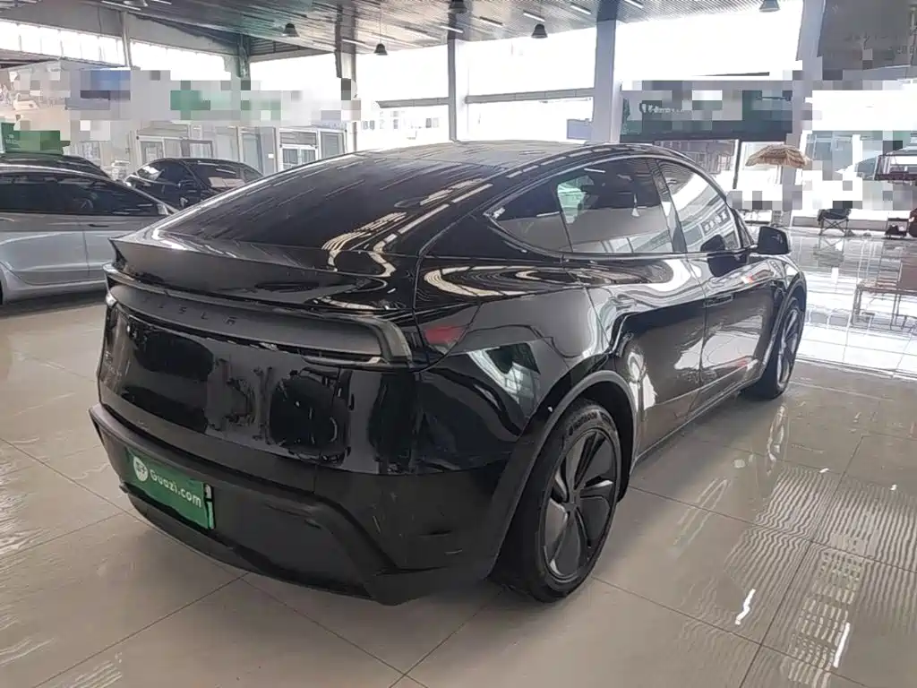Tesla Model Y — миниатюра 7