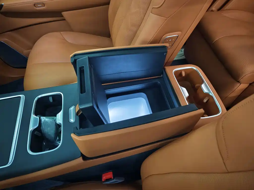 Buick Electra Encasa — миниатюра 12