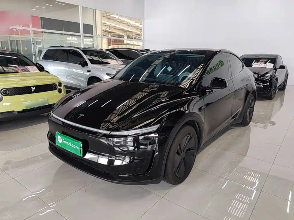 Tesla Model Y — миниатюра 2