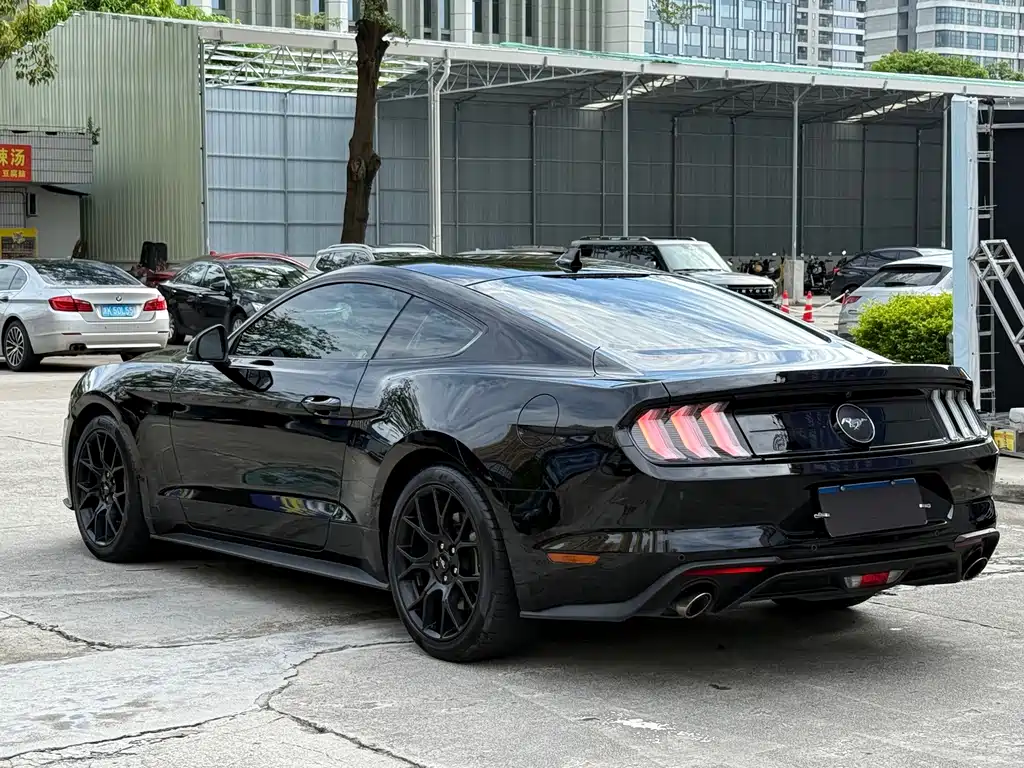 Ford Mustang — миниатюра 8