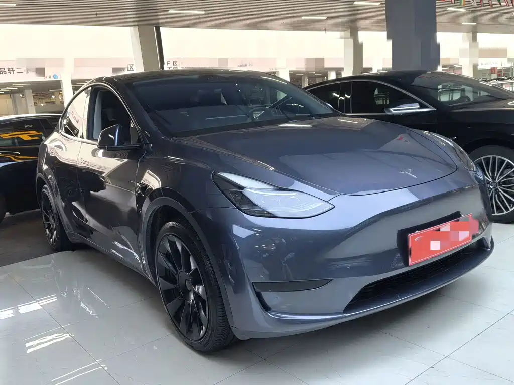 Tesla Model Y — миниатюра 3