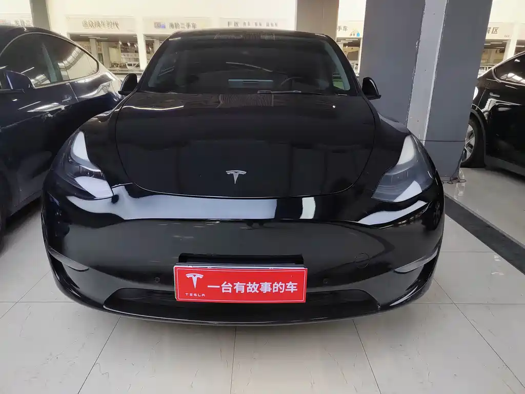 Tesla Model Y — миниатюра 2