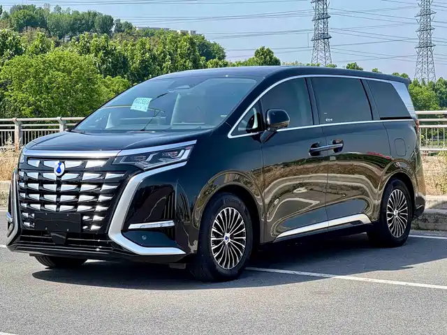 2024 Denza D9