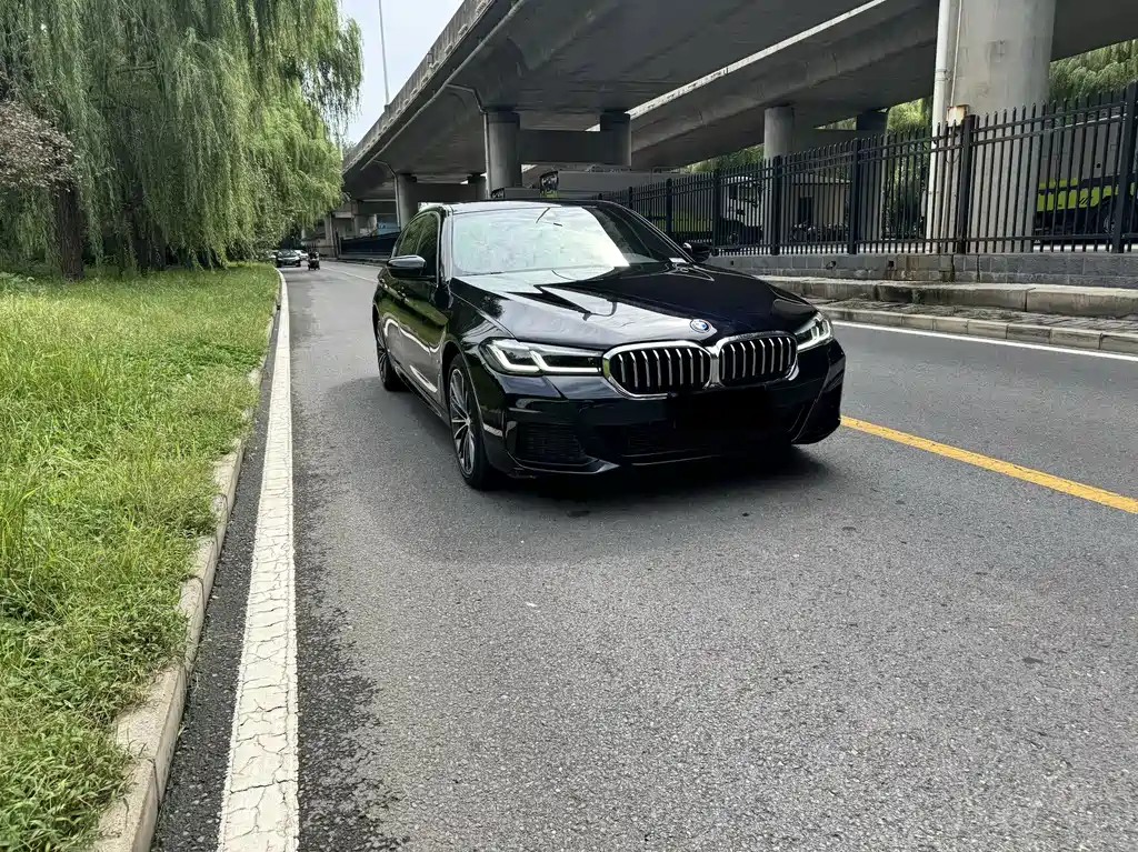 BMW 5 Series — миниатюра 3