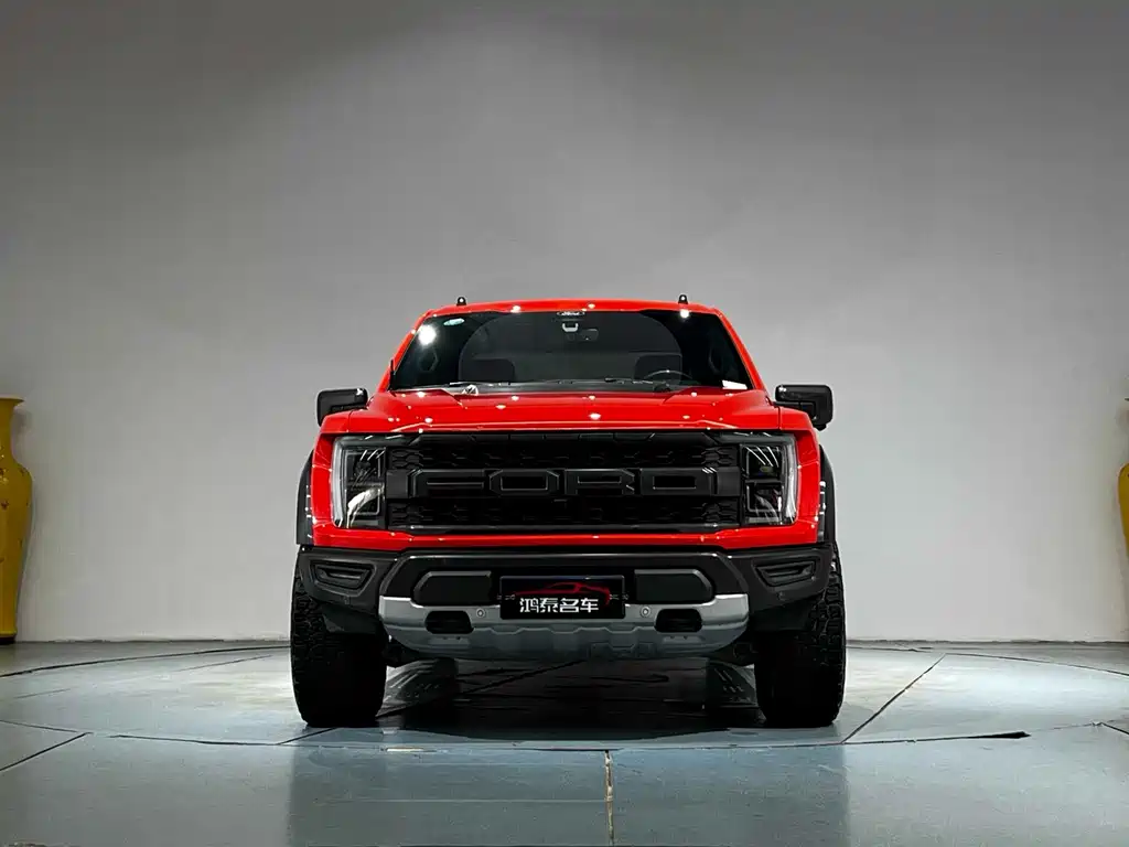 Ford F-150 Raptor — миниатюра 2