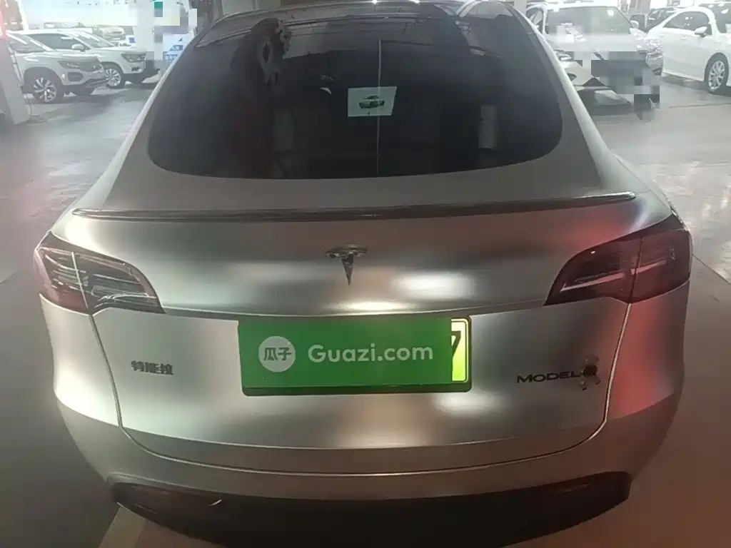 Tesla Model Y — миниатюра 6