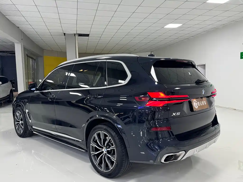 BMW X5 — миниатюра 7