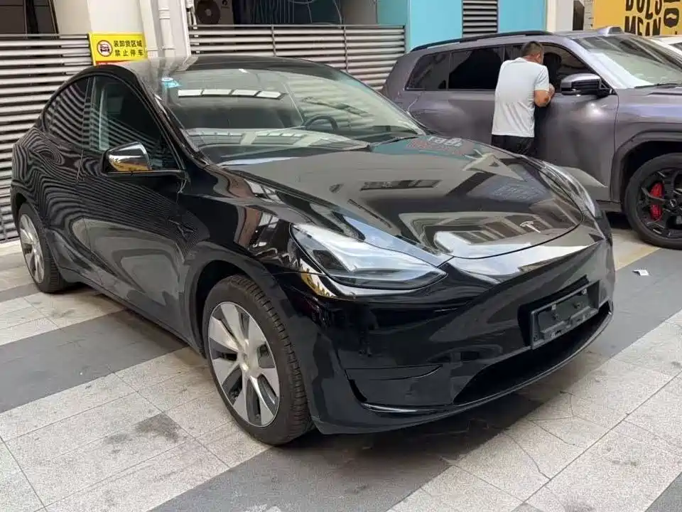 Tesla Model Y — миниатюра 3