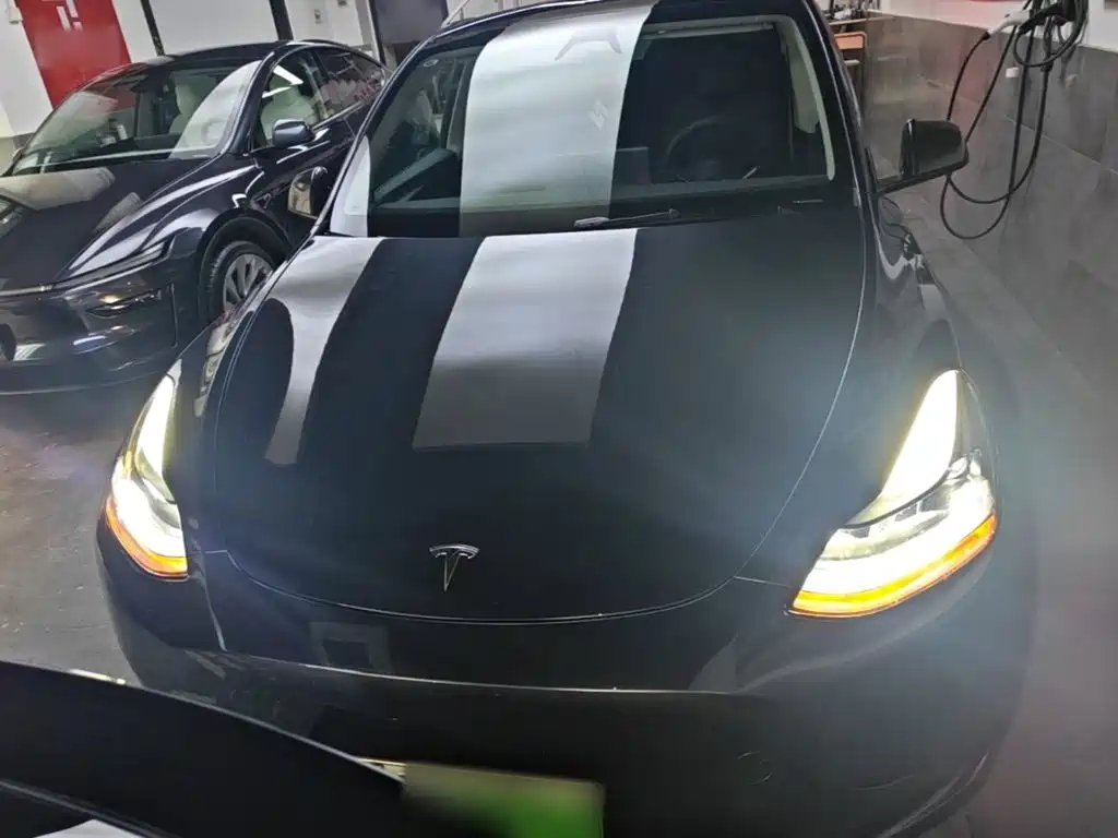 Tesla Model Y — миниатюра 3