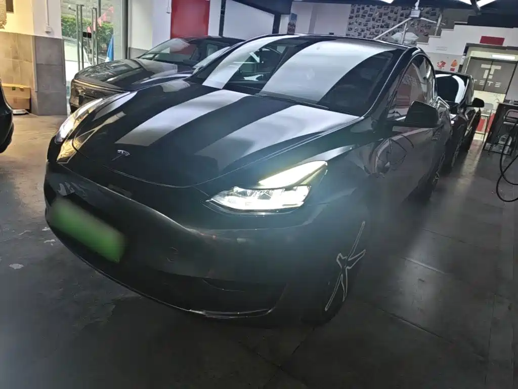 Tesla Model Y — миниатюра 2