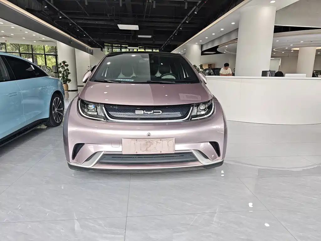 BYD Dolphin — миниатюра 2