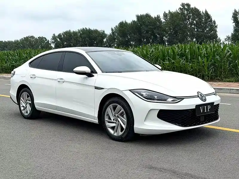 Volkswagen Lamando — миниатюра 3