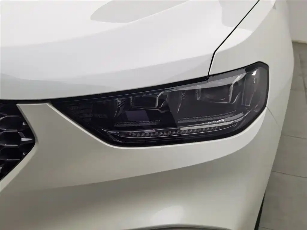 WEI PAI WEI BRAND VV5