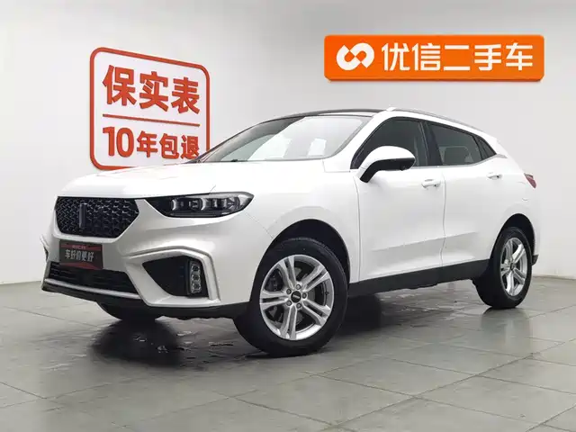 WEI PAI WEI BRAND VV5 2019