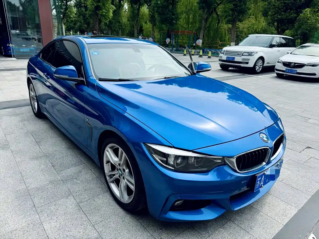 BMW 4 Series — миниатюра 4