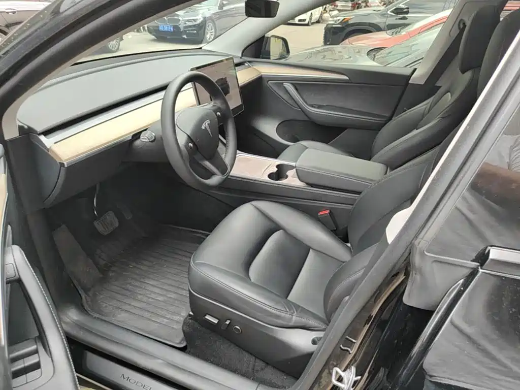 Tesla Model Y — миниатюра 15