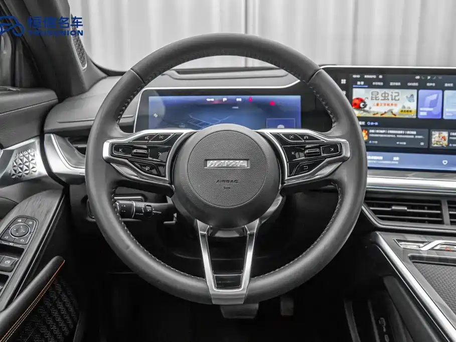 Haval Shenshou — миниатюра 15