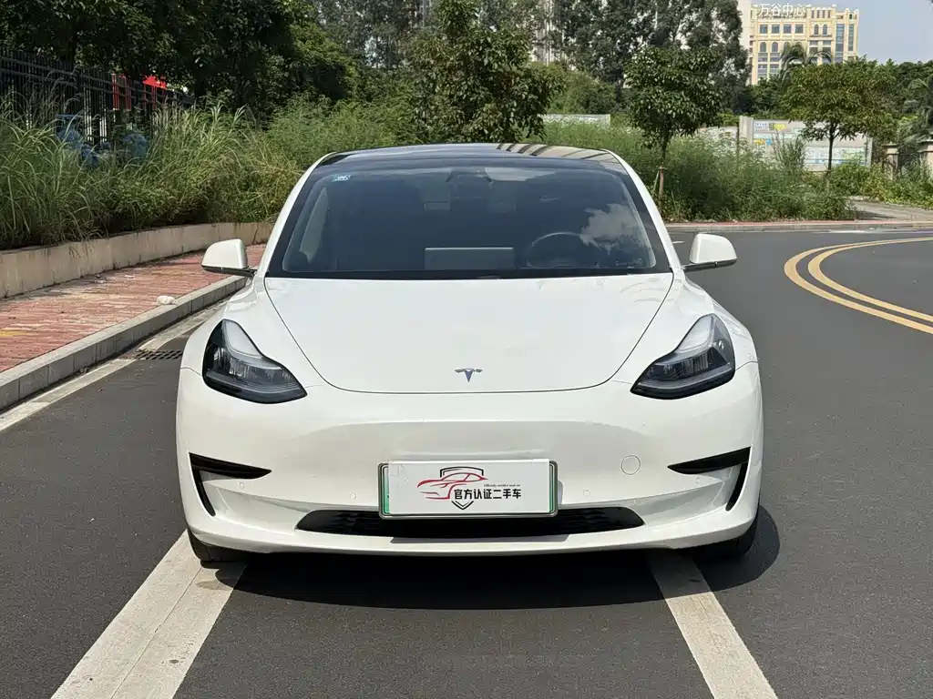 Tesla Model 3 — миниатюра 3
