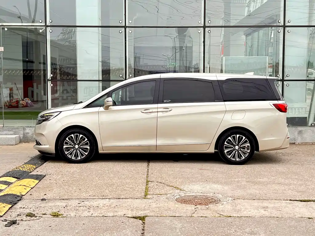 Buick GL8 — миниатюра 8