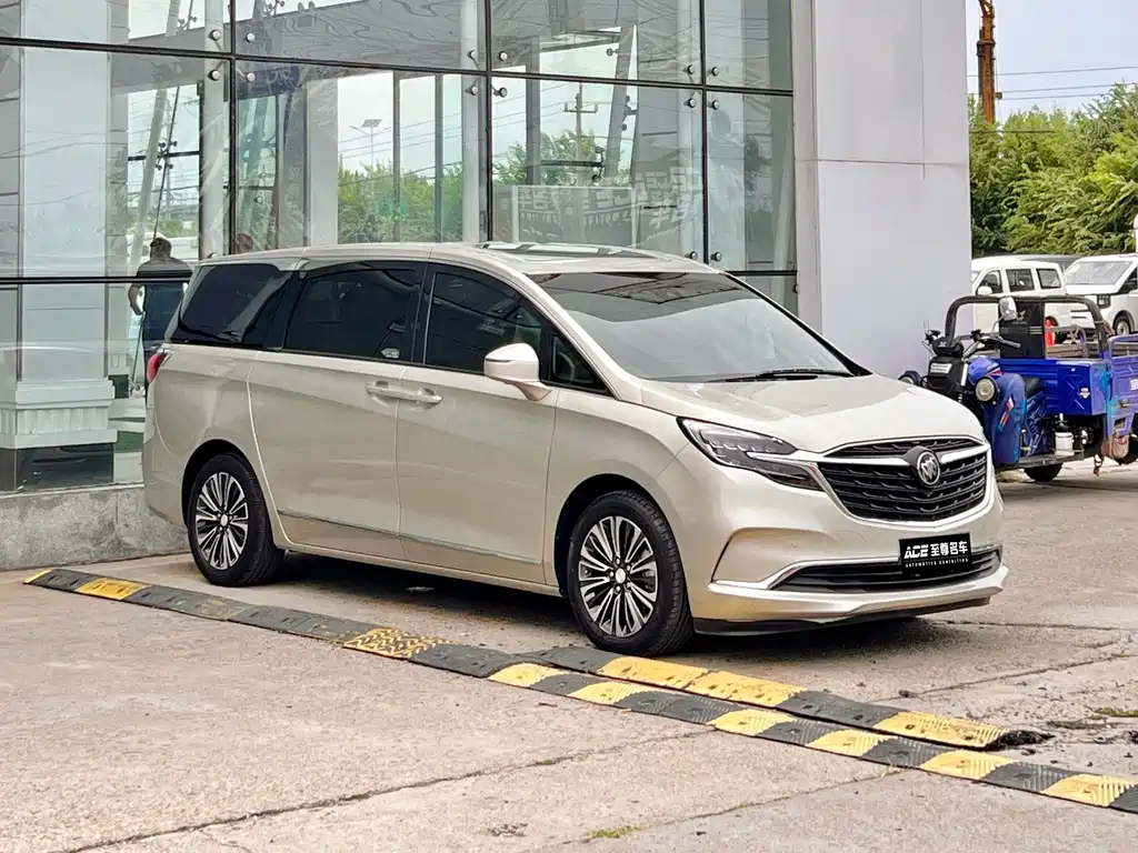 Buick GL8 — миниатюра 3